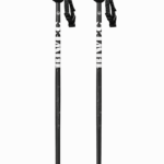 Лыжные палки BEWIC / 110cm