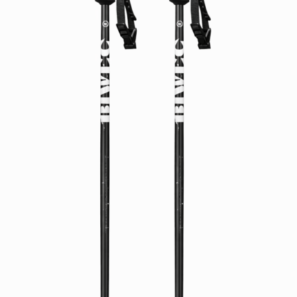Лыжные палки BEWIC / 110cm