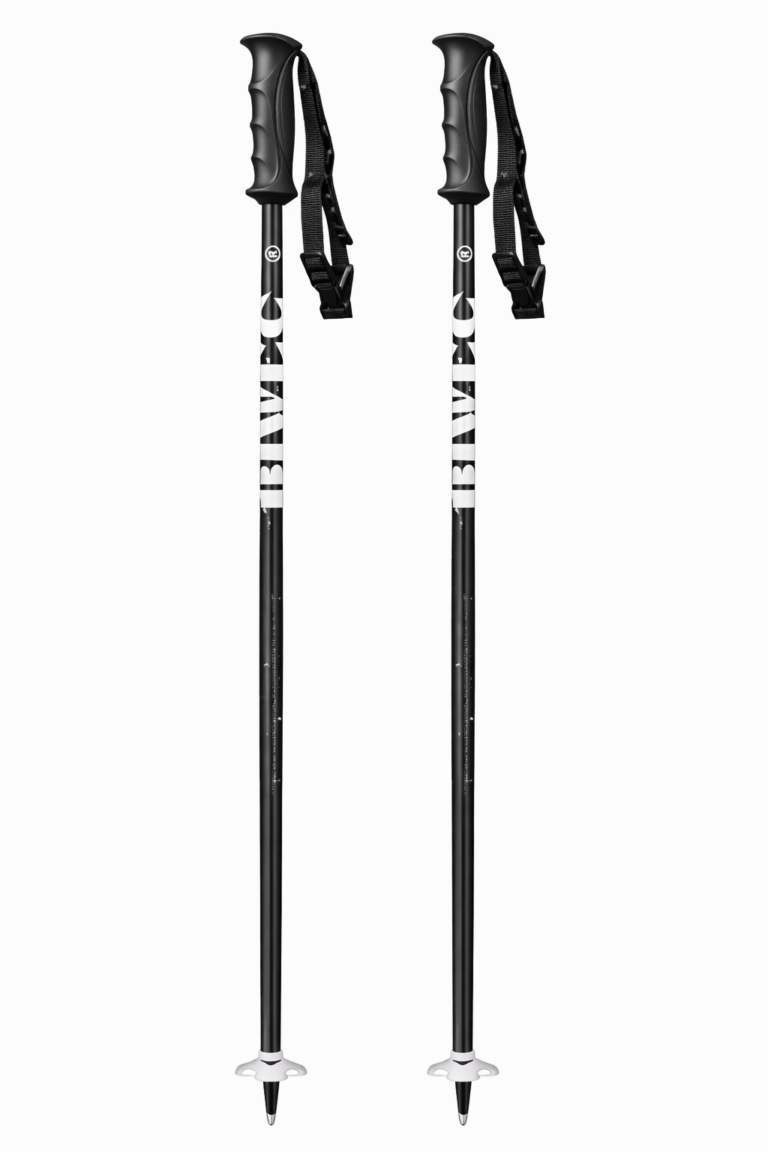 Лыжные палки BEWIC / 110cm