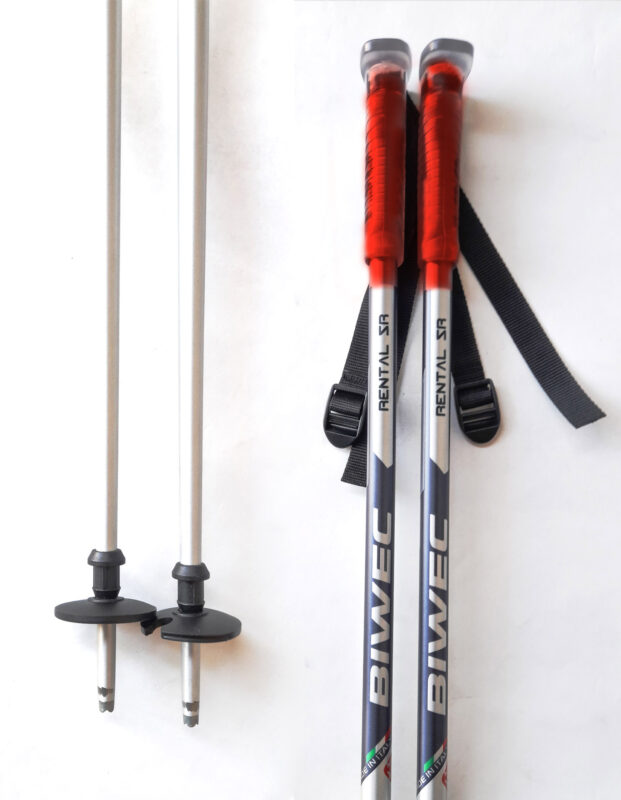 Лыжные палки BIWEC / 110cm