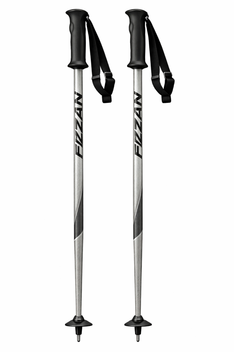 Лыжные палки Fizan / 100cm